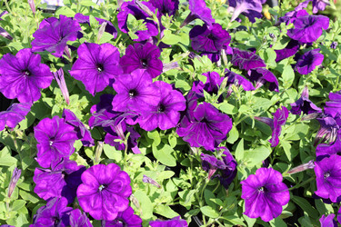 Similar image 21939768