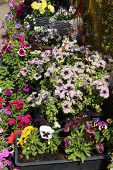 Similar image 21939770