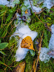 Similar image 21939955