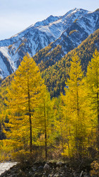 Similar image 21939957