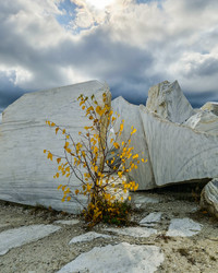 Similar image 21939963