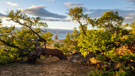 Similar image 21939967