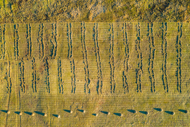 Similar image 21939971