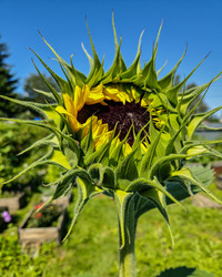 Similar image 21939974