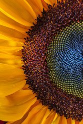 Similar image 21939975