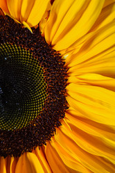 Similar image 21939976