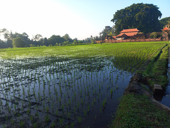 Similar image 21939775