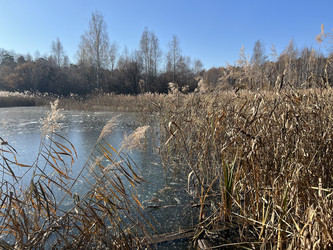 Similar image 21939979