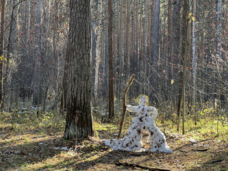 Similar image 21939980