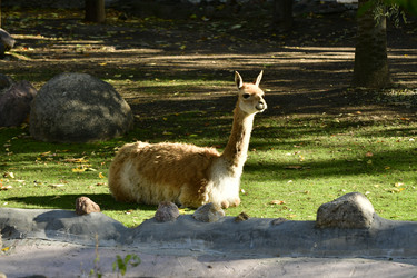 Similar image 21945980