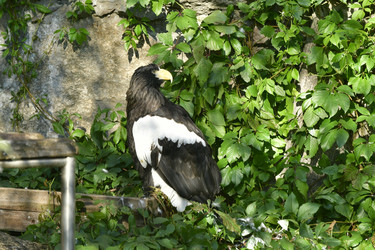 Similar image 21945981