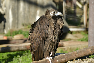 Similar image 21945982