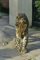 Similar image 21945984