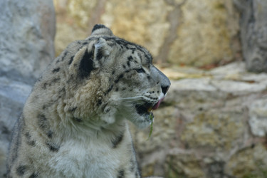 Similar image 21945985