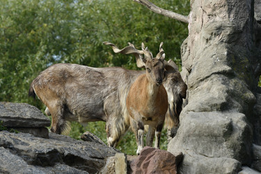 Similar image 21945986