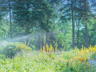 Similar image 21949056