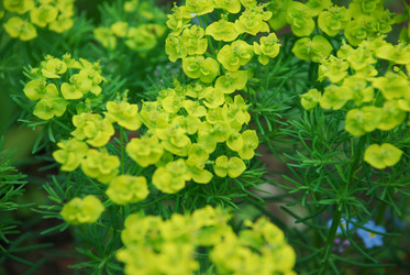 Similar image 21942867