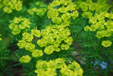 Similar image 21942869