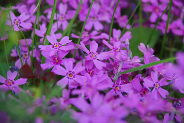 Similar image 21942870