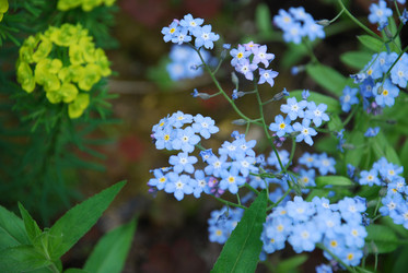 Similar image 21942871