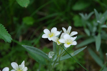 Similar image 21942873