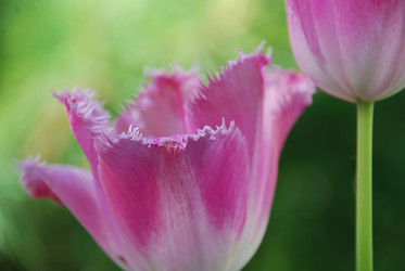 Similar image 21942874