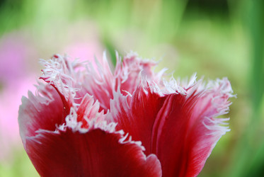 Similar image 21942876