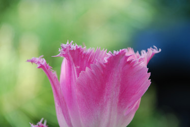 Similar image 21942878