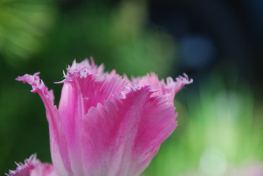 Similar image 21942880