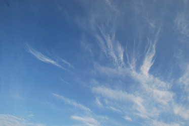 Similar image 21942882