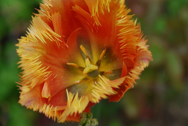 Similar image 21942883