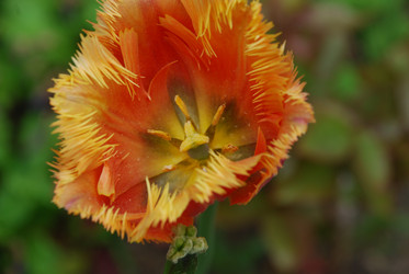 Similar image 21942885