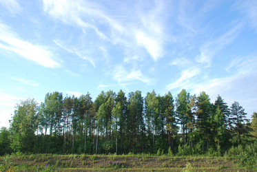 Similar image 21942955