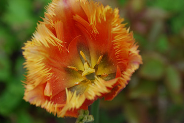 Similar image 21942956