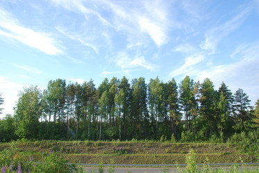 Similar image 21942957