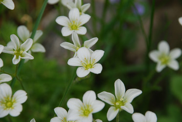 Similar image 21942958