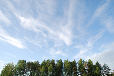 Similar image 21942959