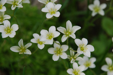 Similar image 21942960