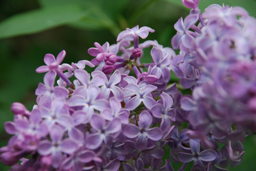 Similar image 21942964