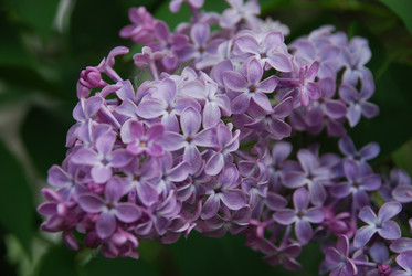 Similar image 21942966