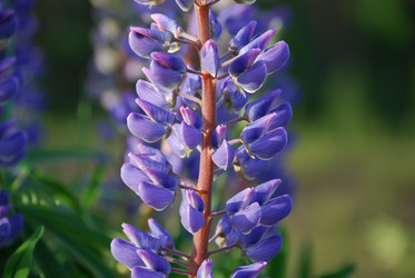 Similar image 21942967