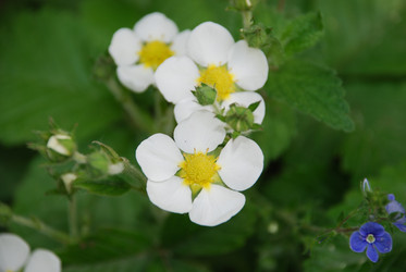 Similar image 21942970