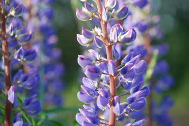 Similar image 21942971