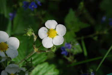 Similar image 21942972