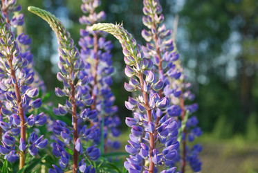 Similar image 21942973