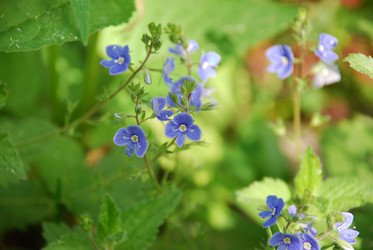 Similar image 21942974