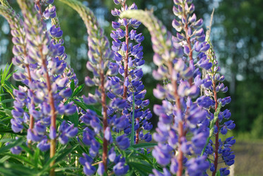 Similar image 21942975