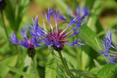 Similar image 21942976