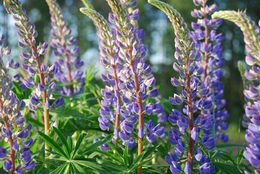 Similar image 21942977