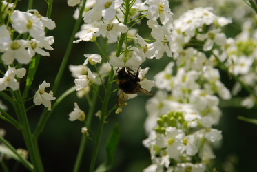 Similar image 21942978